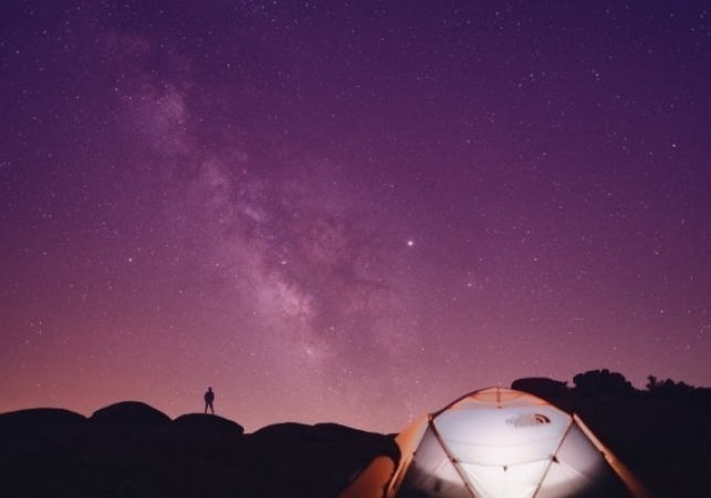 pexels-photo-3694362