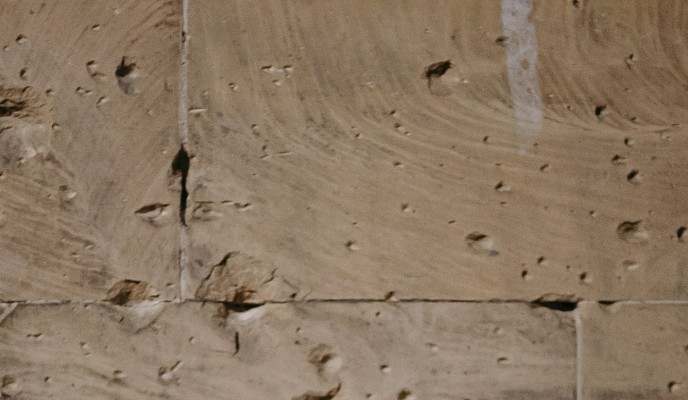 pexels-photo-4551916