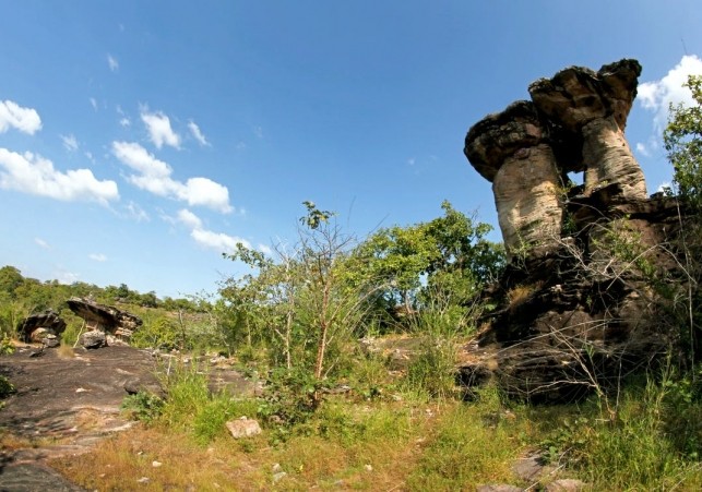 nielegalne poszukiwania