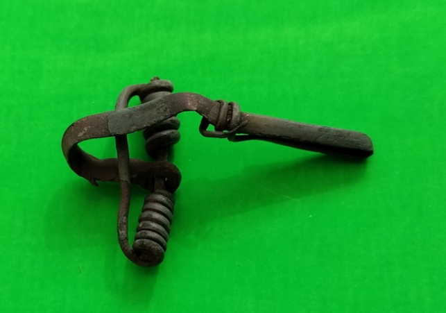 poszukiwacz skarbow z archeologicznym skarbem