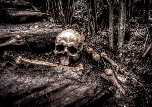 odkrycie szkieletów w tarnowie