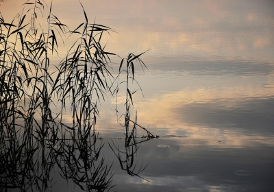 odkrycie na ostrowie