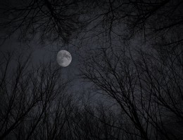 pexels-photo-5409941